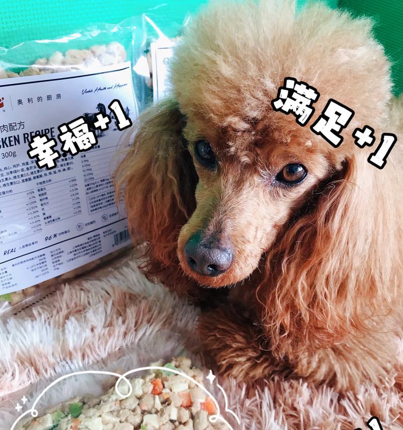 泰迪湿粮的正确喂食量是多少克？