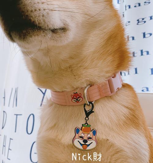 柴犬丢失后报警的流程及费用是多少？