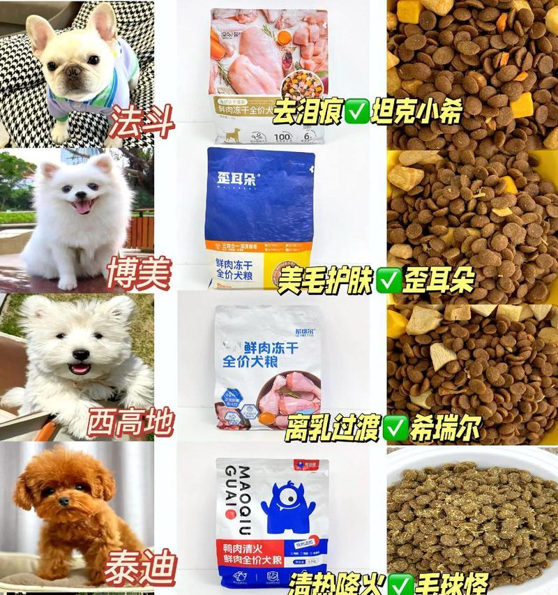 东莞周边卖小型犬市场有哪些？购买小型犬需要注意什么？