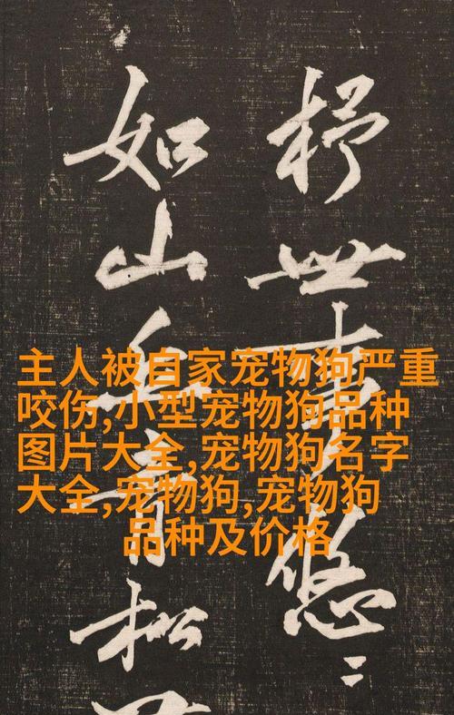 泰迪宠物出售半年以上的售价是多少？购买时应该注意哪些问题？