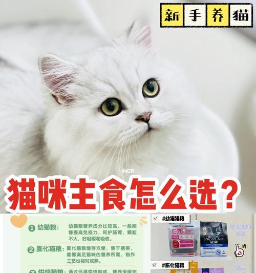 狗猫粮通用产品如何选择？选择时应注意哪些营养成分？