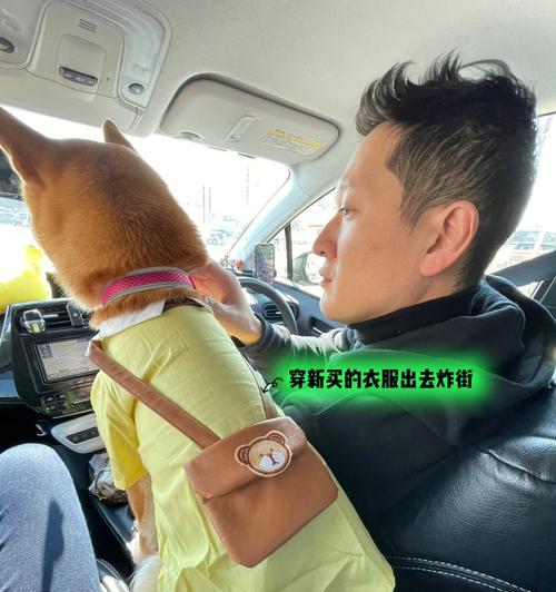 给柴犬做清理服务是否必要？费用大约是多少？