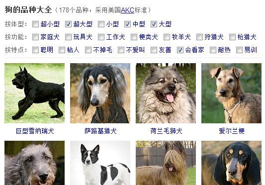 台州有哪些地方可以领养大型犬？领养大型犬需要注意什么？