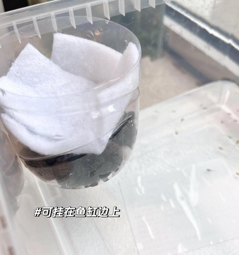 过滤系统会吸走小鱼苗吗？原因是什么？