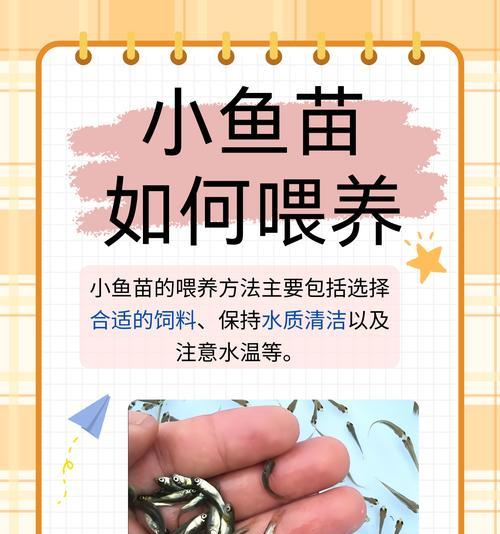 过滤系统会吸走小鱼苗吗？原因是什么？