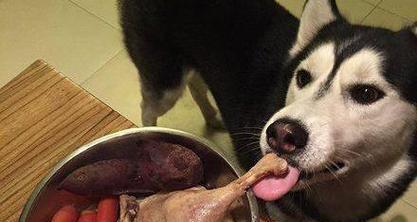 狗对鱼肉粮过敏的症状有哪些？