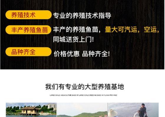 购买鱼苗时如何选择性价比高的品种？养鱼有哪些小技巧？