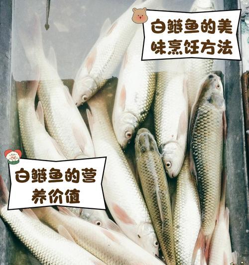白鲢鱼苗除了绿水还能适应哪些环境？