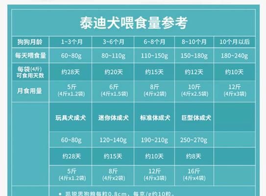 泰迪每天应该喂多少？喂食量如何控制？