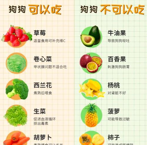 泰迪吃青菜的适量是多少？有哪些青菜适合泰迪？