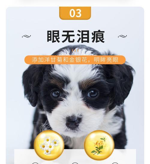 土狗撞死是否要求赔偿泰迪？赔偿金额大概是多少？