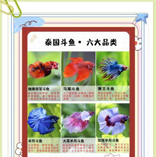 攒鱼苗的最佳时间是什么时候？