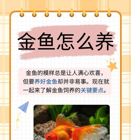 攒鱼苗的最佳时间是什么时候？