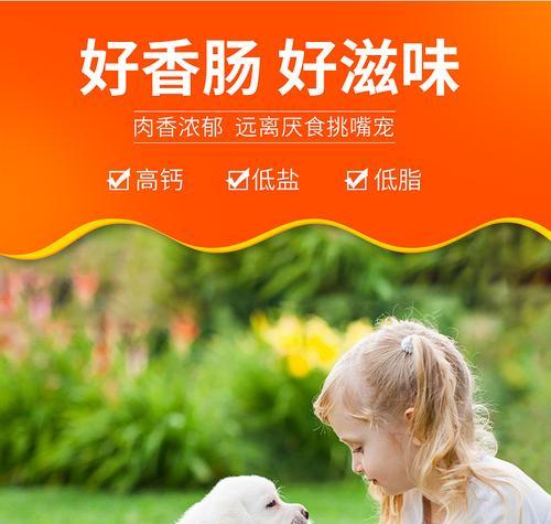 训狗学校培训一般多少钱？训泰迪需要多少费用？