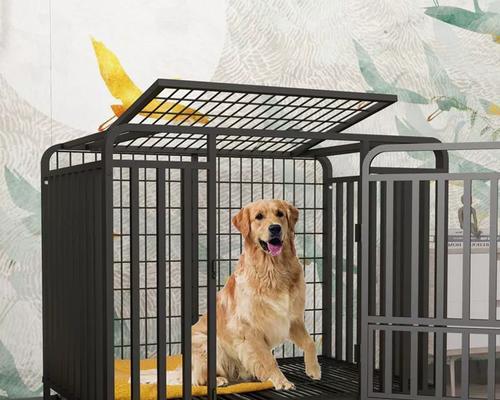 哪些中大型犬适合用狗笼？推荐的品种有哪些？