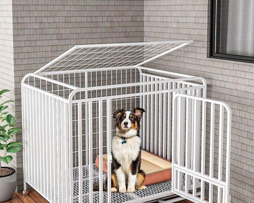 哪些中大型犬适合用狗笼？推荐的品种有哪些？