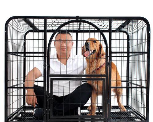 哪些中大型犬适合用狗笼？推荐的品种有哪些？
