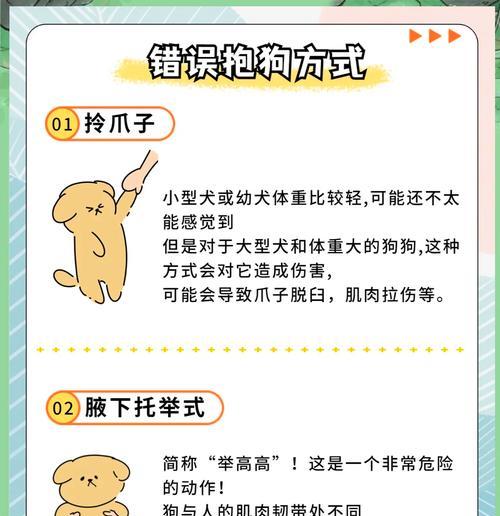 小型犬中哪些品种比较凶猛？如何训练它们？