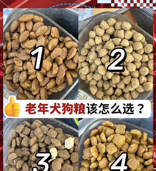 养了3年的泰迪犬相当于人类多少岁？如何计算犬龄？
