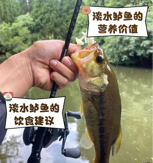 鲈鱼苗的第一餐应该喂什么饲料？有哪些推荐？