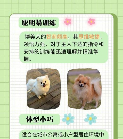 长大之后的小型犬有哪些种类？它们的特点是什么？