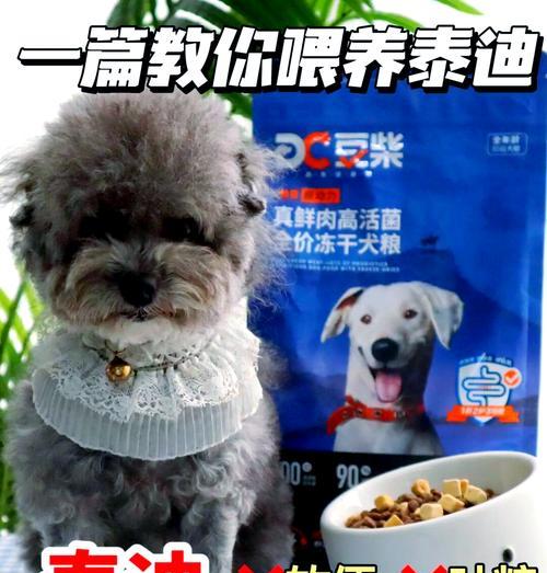 白泰迪需要多少空间来饲养？如何创造适宜的生活环境？