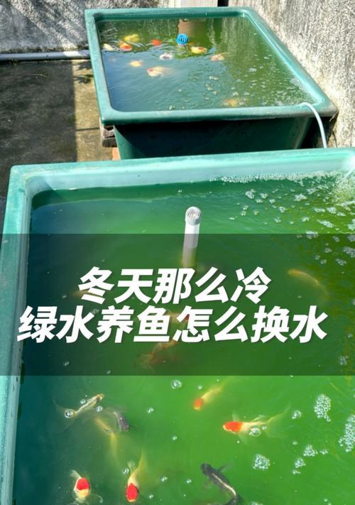 冬季如何更好地留住鱼苗？