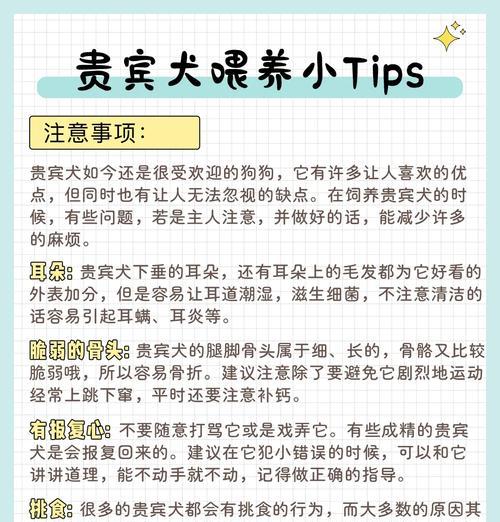 泰迪犬的标准体重是多少斤？如何保持健康体重？