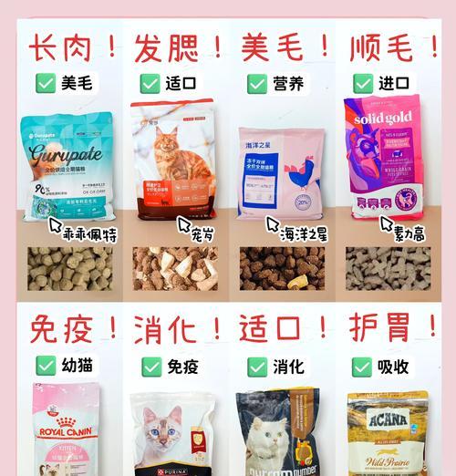 晋城泰迪租车需要多少钱？价格是多少？