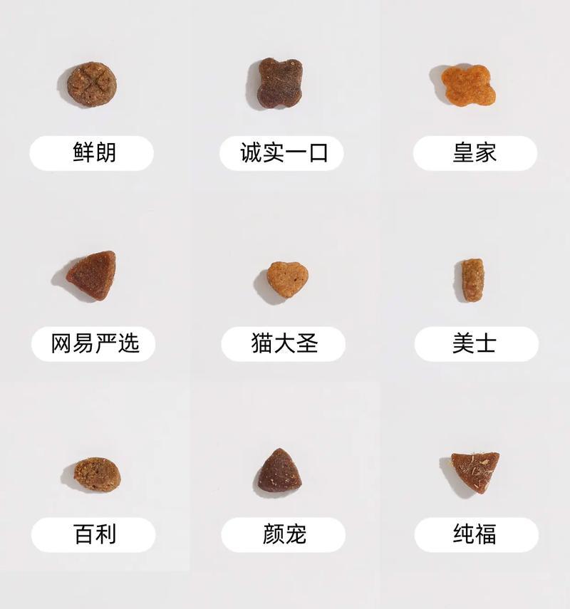 晋城泰迪租车需要多少钱？价格是多少？