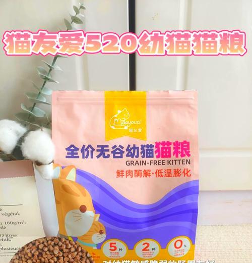 晋城泰迪租车需要多少钱？价格是多少？