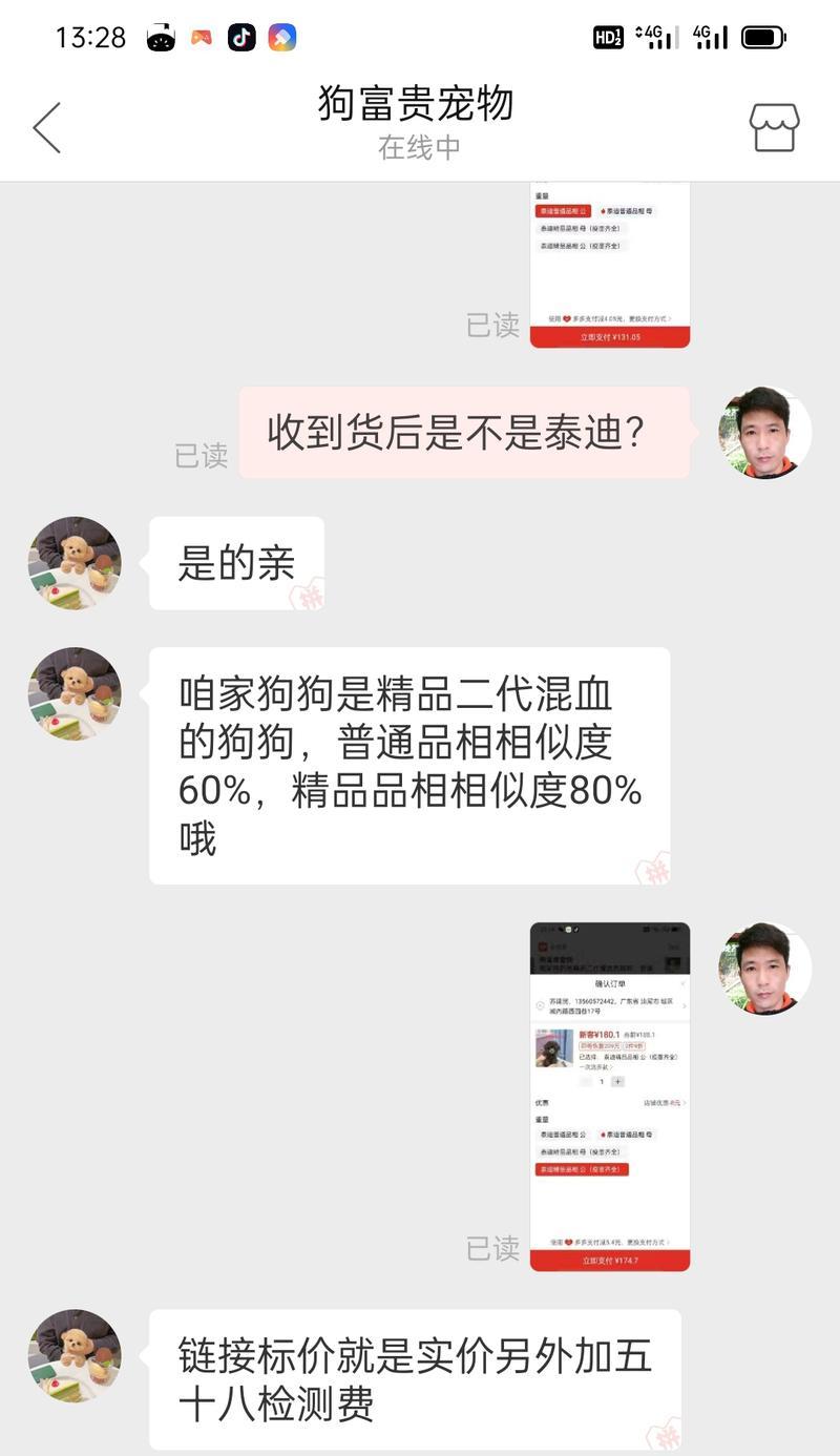 小狗泰迪的价格是多少？购买时应如何选择合适的宠物店？
