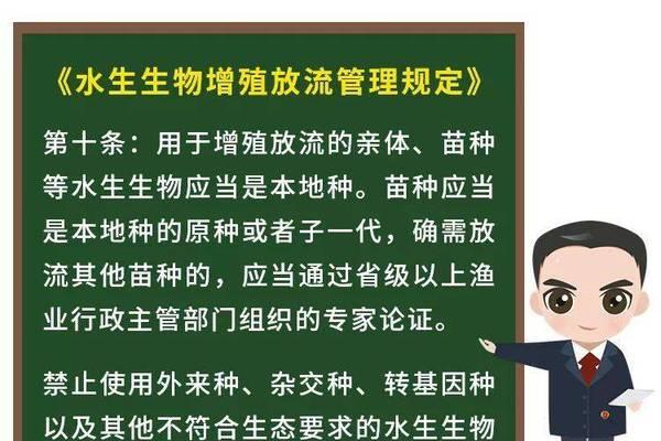 浅水区为何没有鱼苗？这会对生态系统有什么影响？