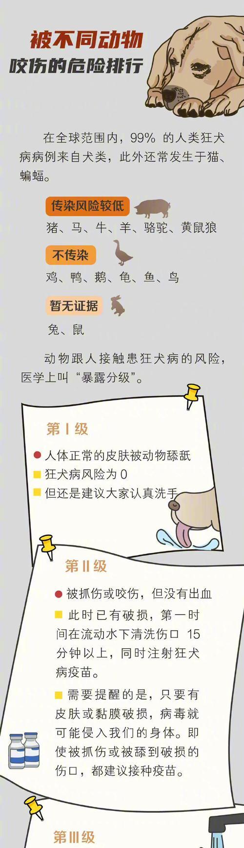 狗狗误食猫粮怎么办？需要采取什么措施？
