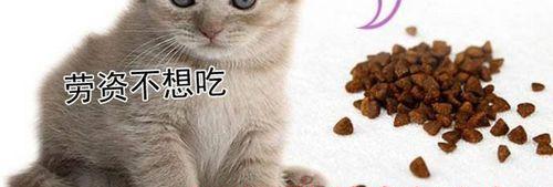 狗狗误食猫粮怎么办？需要采取什么措施？