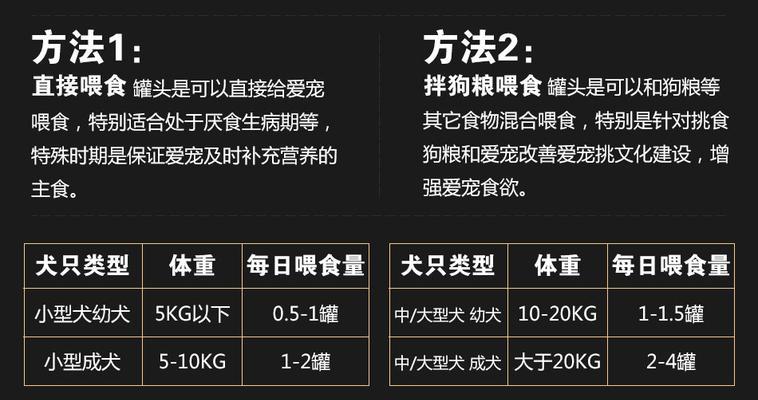 六个月的小泰迪喂食量是多少？如何制定合适的喂食计划？