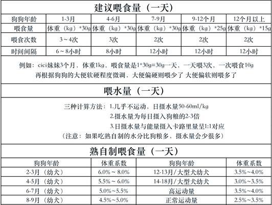 六个月的小泰迪喂食量是多少？如何制定合适的喂食计划？