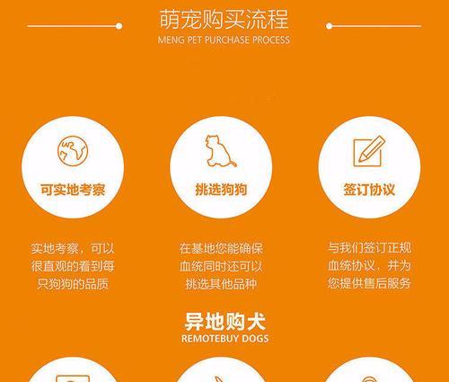 泰迪幼犬疫苗接种费用是多少？接种疫苗的流程是怎样的？