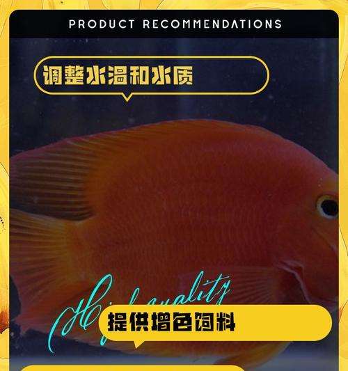 鹦鹉鱼苗需要什么样的水质？如何保证水质？