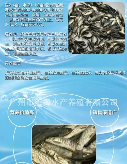 鱼苗生长过快的原因是什么？