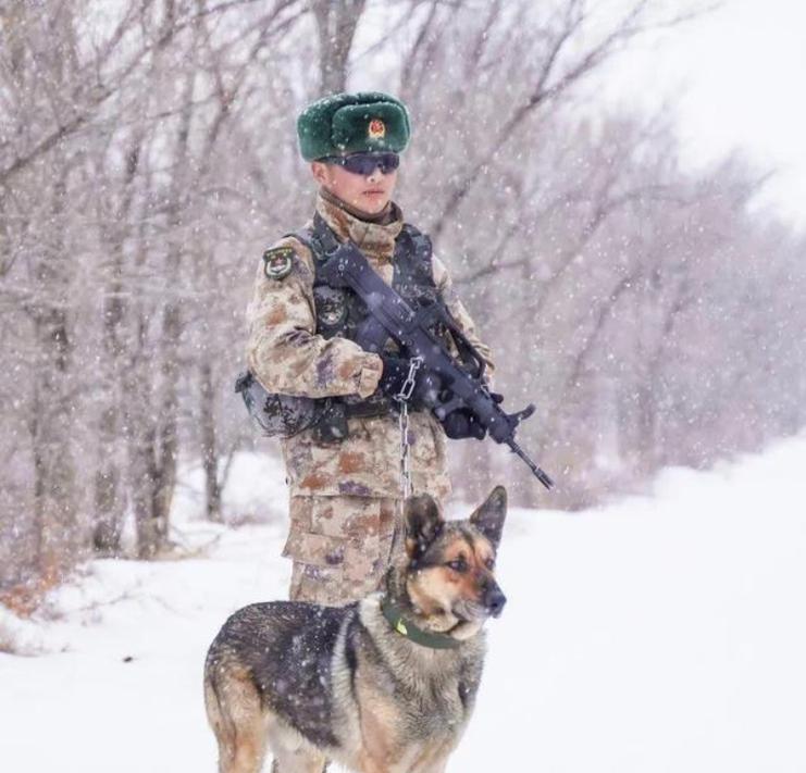 哪些名字适合给搜救小型犬？