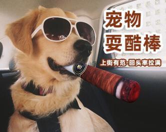 适合小型犬的发声玩具种类有哪些？