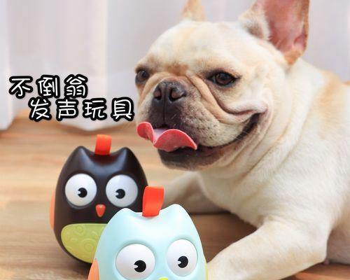 适合小型犬的发声玩具种类有哪些？