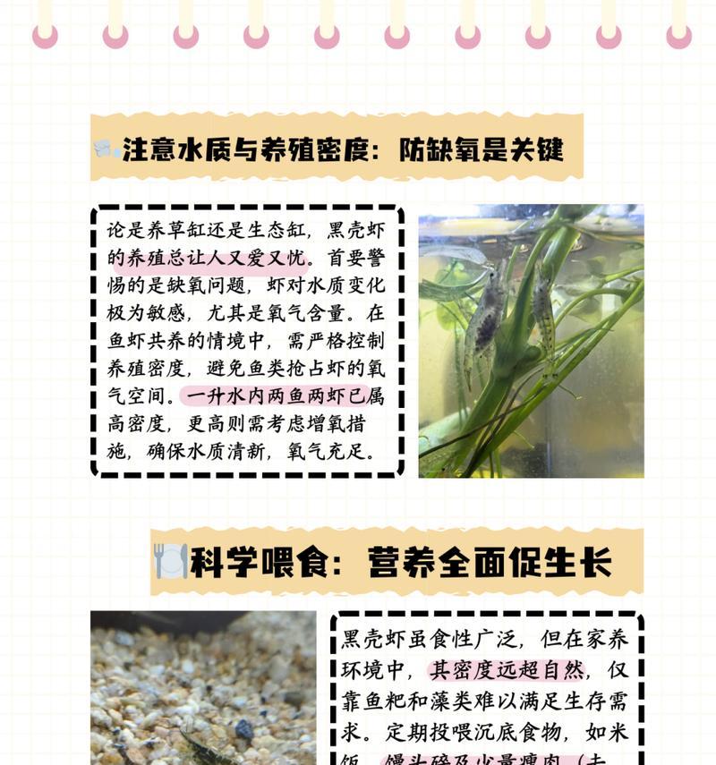 热带草缸鱼苗适合吃什么食物？如何饲养热带草缸鱼苗？