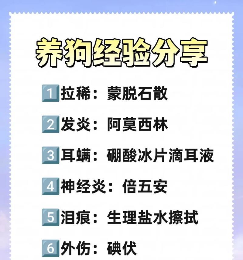狗偷吃猫粮怎么办？如何防止这种情况发生？