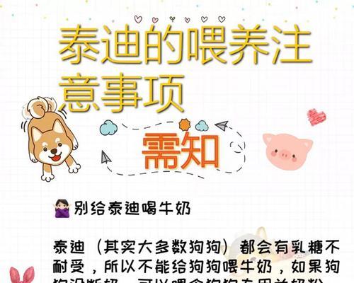 泰迪犬的价格是多少？购买时需要注意什么？