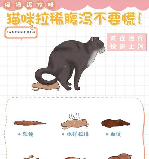 猫粮导致拉稀的原因及解决办法是什么？