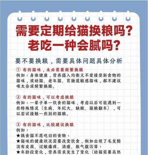 幼猫换猫粮需谨慎？原因是什么？