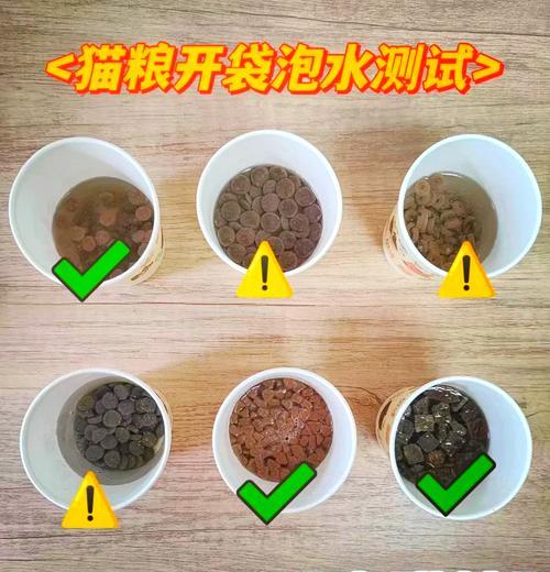 猫粮泡水后成糊状如何处理？有效解决方法是什么？