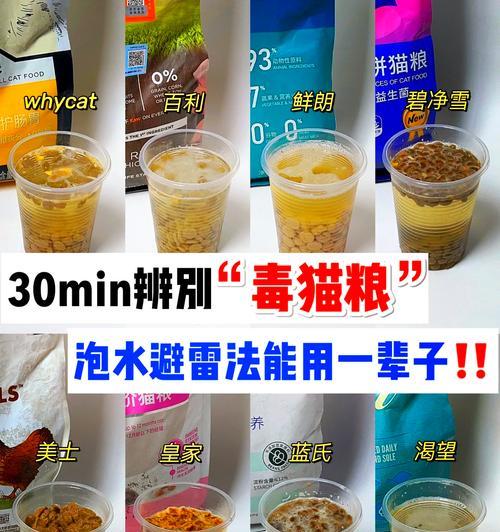 猫粮泡水后成糊状如何处理？有效解决方法是什么？